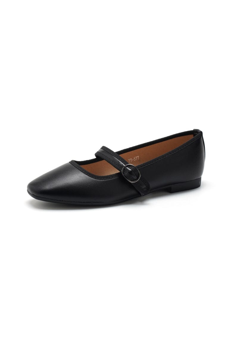 Bloom - Magnolia 77-577 - Black Ballerinaer