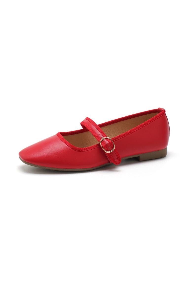 Bloom - Magnolia 77-577 - Red Ballerinaer