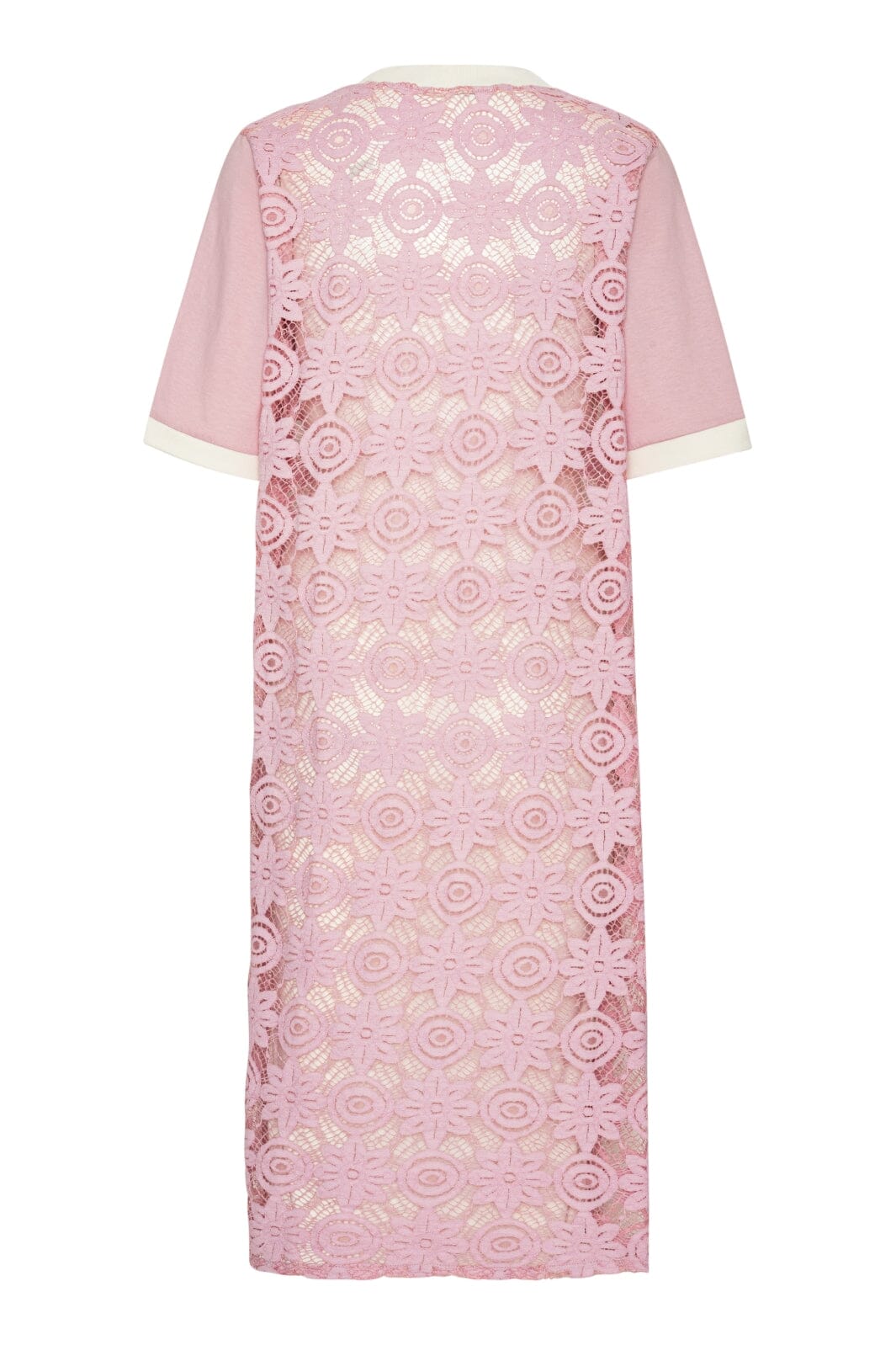 Continue - Conni Lace Dress 14792 - Rose