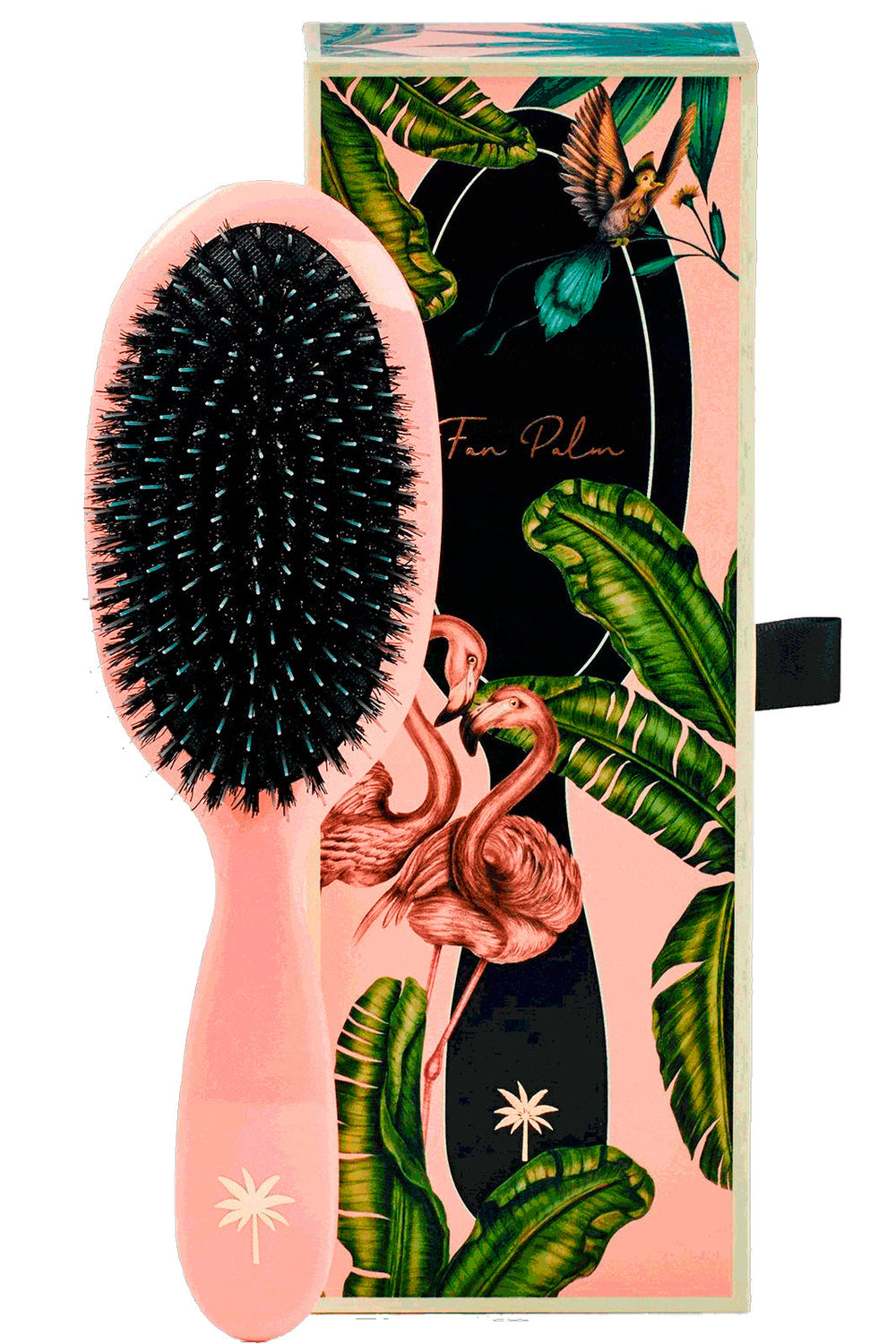 Fan Palm - Hair Brush Medium - Blush Hårbørster