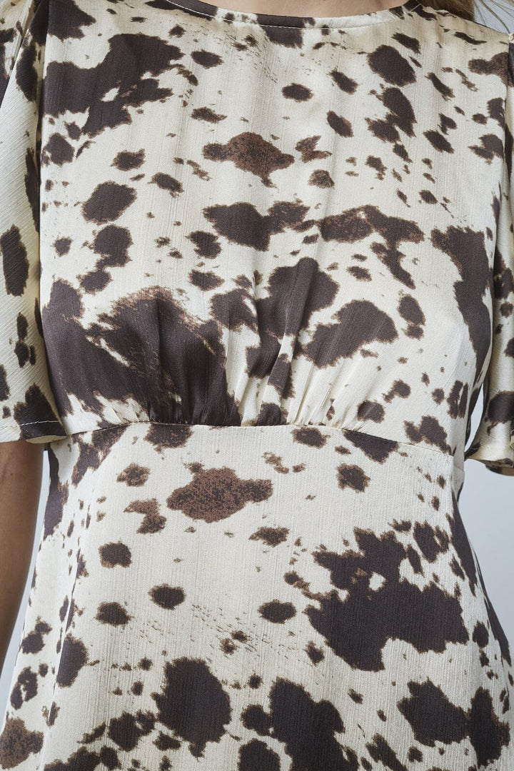 Love & Divine - Love1000-14 18886 - 800 - Cow