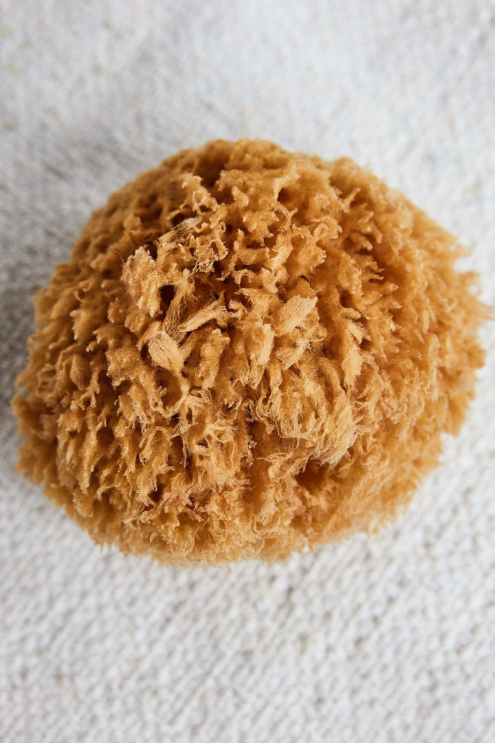 Meraki - Sponge Bahamas Bad