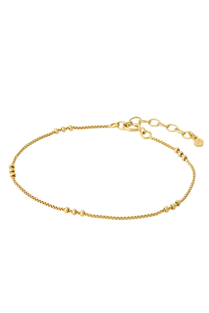 Pernille Corydon Jewellery - Eva Bracelet - Gold Plated Armbånd