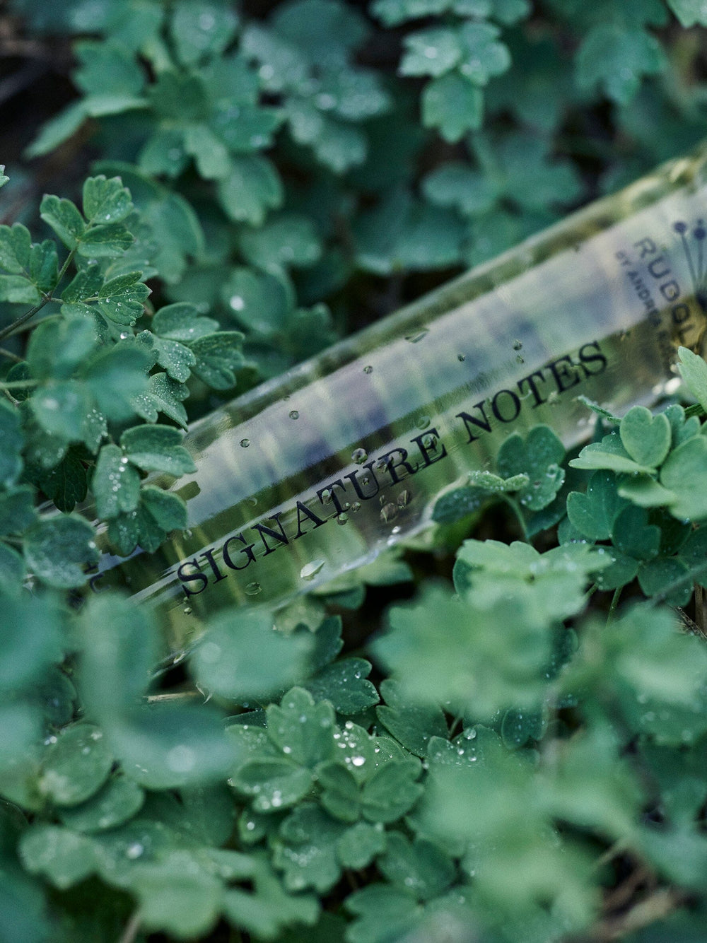 Rudolph Care - Signature Notes Huile de Parfum Purse Edition Parfumer