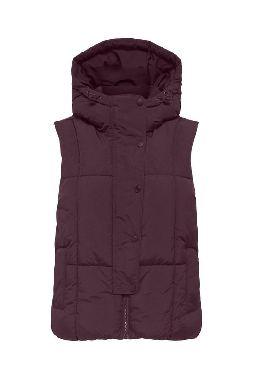 JDY - Jdywonder Short Hood Waistcoat Sij - 4868314 Fig