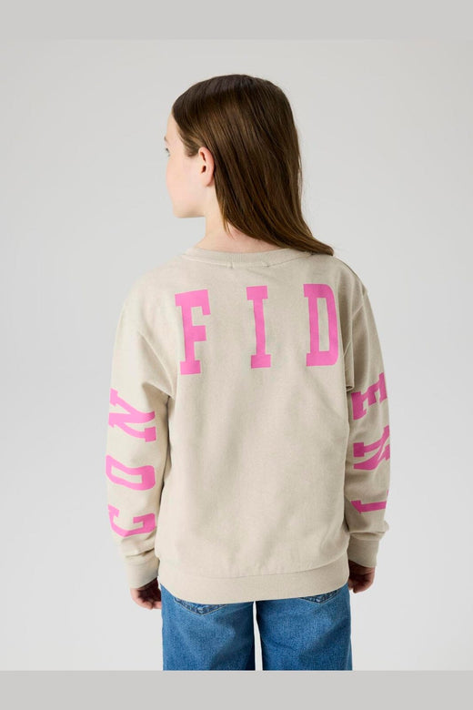 Name It - Nkfdilara Ls Nreg Swe - 5098592 Chateau Gray