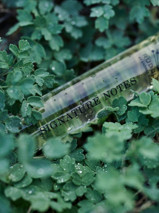 Rudolph Care - Signature Notes Huile de Parfum Purse Edition Parfumer 