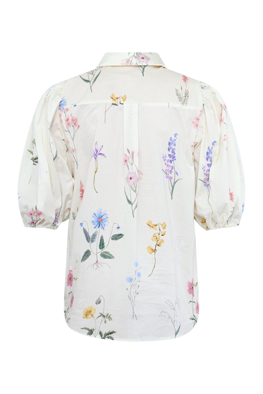 Sisters Point - Ella-Sh80 19791 - 811 - Light Wild Flower